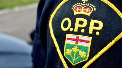 OPP seek smuggling suspects after 36 illegal firearms found near Canada-U.S. border